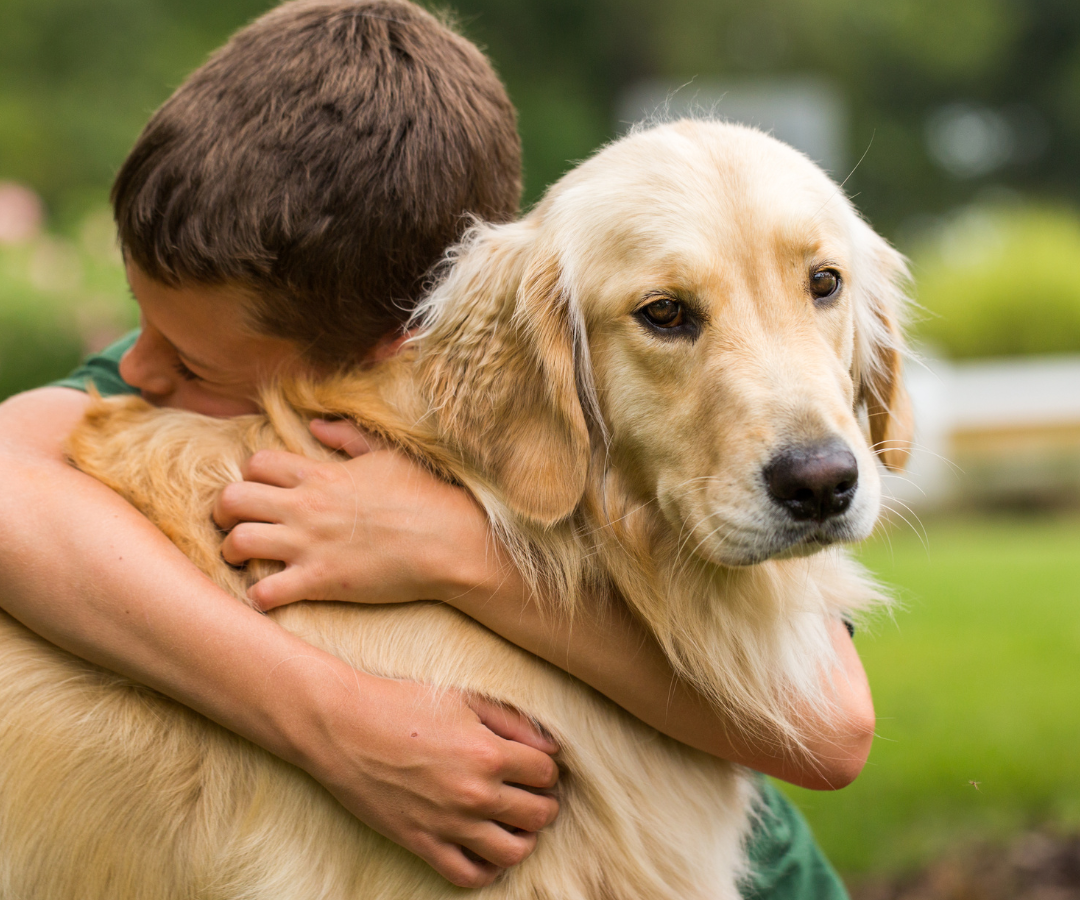 child with pet